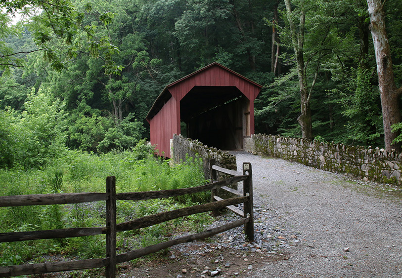 laurels preserve bridge