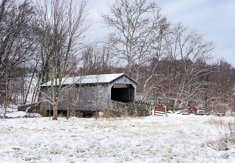 laurels preserve in the snow