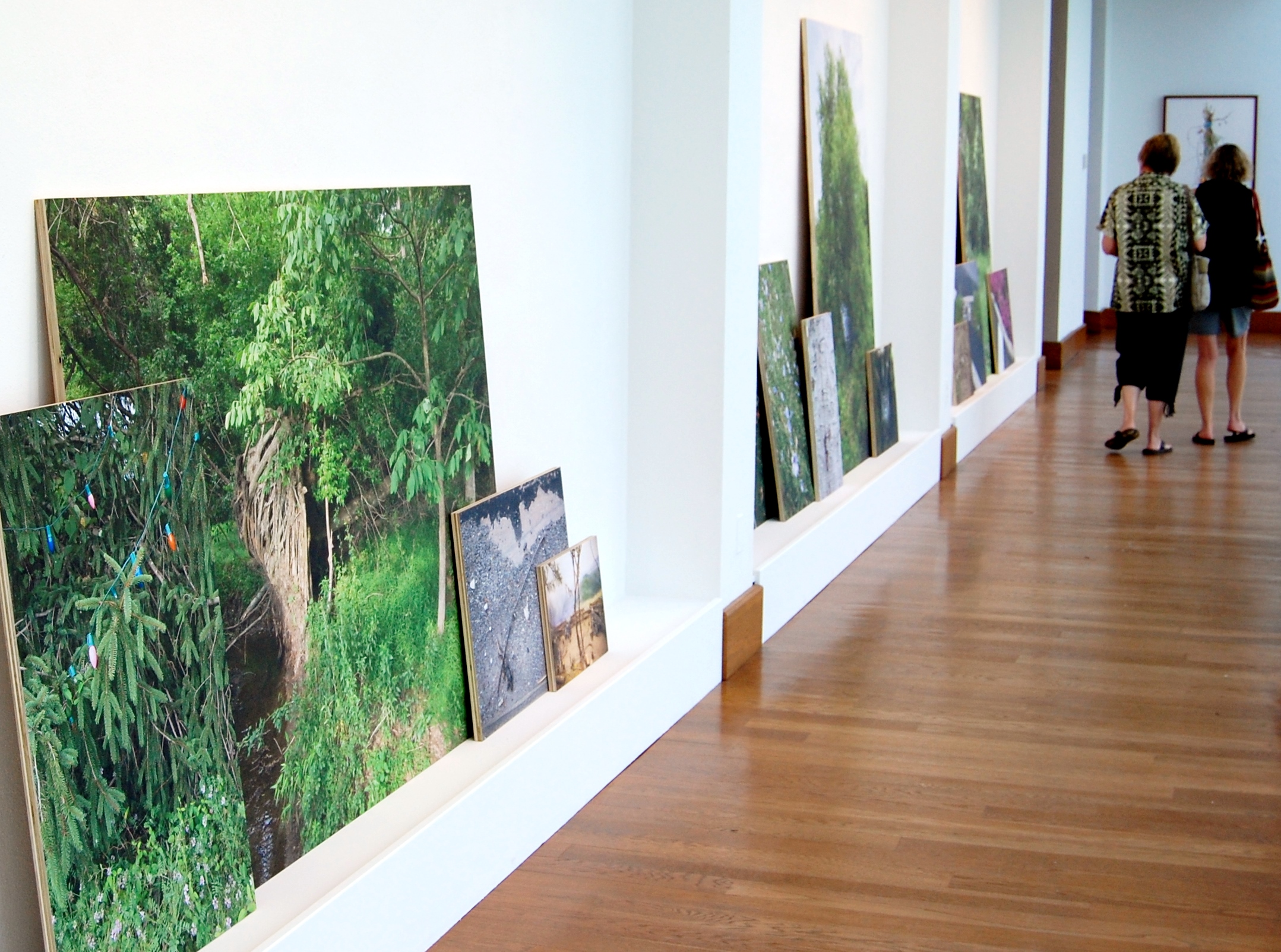 Matthew Jensen, Alongside Tall Grasses 