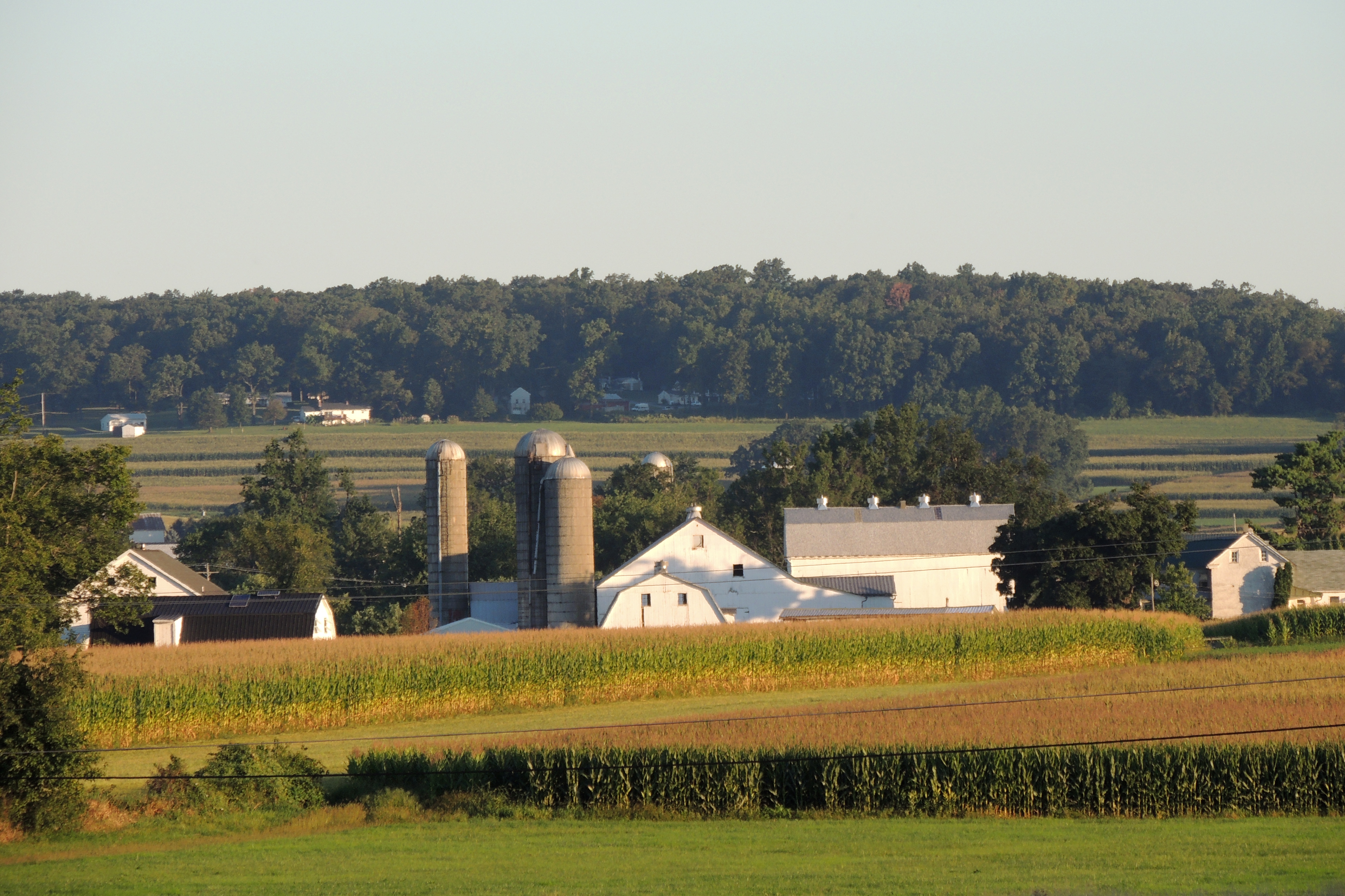 Honey Brook Farm