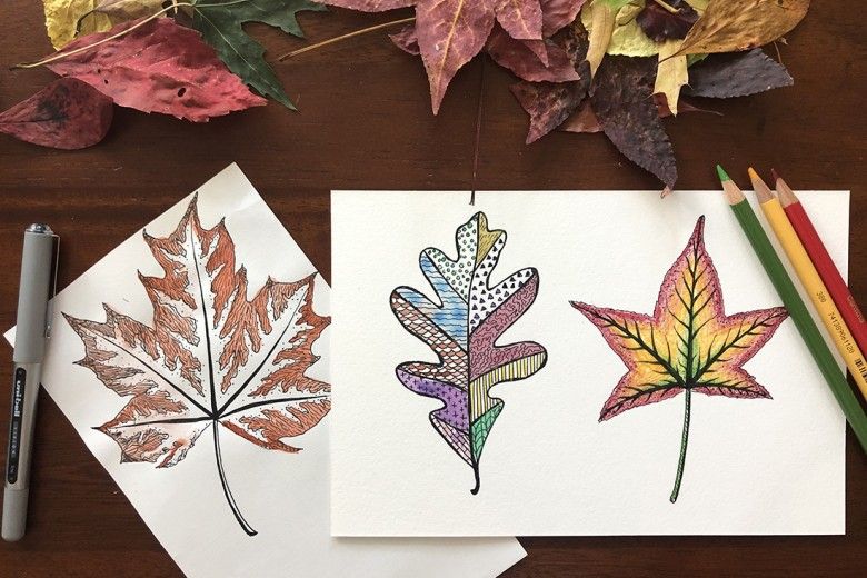 Photo of colorful fall leaf designs on two pieces of white paper, with an assortment of real fall leaves framed at the top of the photo
