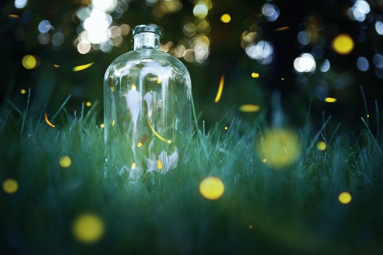 A glow of fireflies on a grassy scene, with a clear jar filled with more fireflies