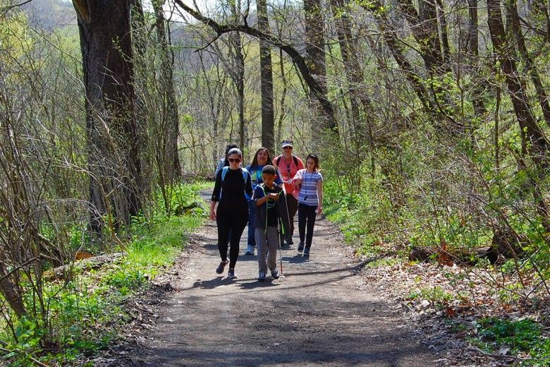 Group of people hiking along a trail in the woods