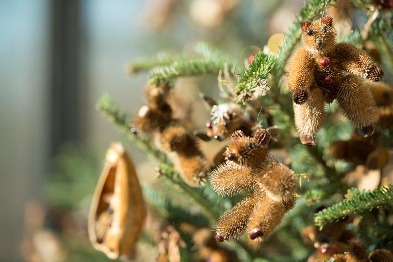 photo of a pine tree decorated with ornaments made from natural materials