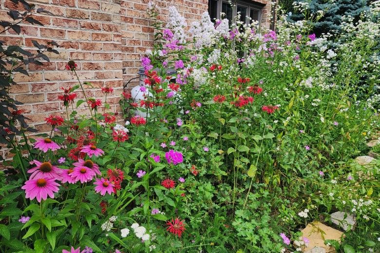 Pink and white flowers lining the the side of a house