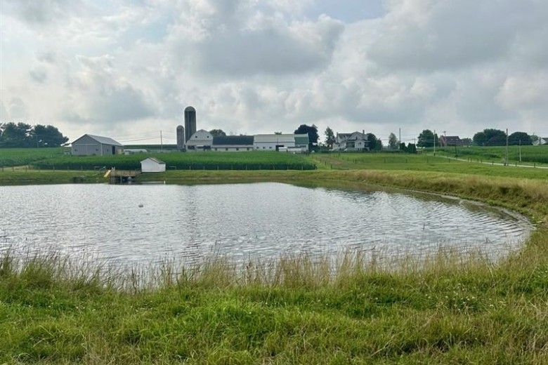 A pond surrounded by tall grass