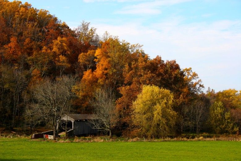 The Laurels Preserve a property protected by the Brandywine Conservancy