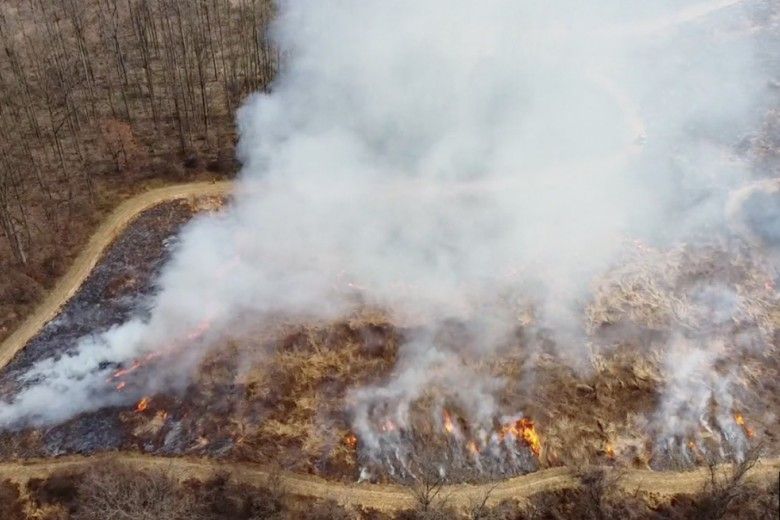 Mid burn, this image shows the fire moving in multiple directions, burned areas blackened and unburned areas tan. Photo by Tom Morelli.