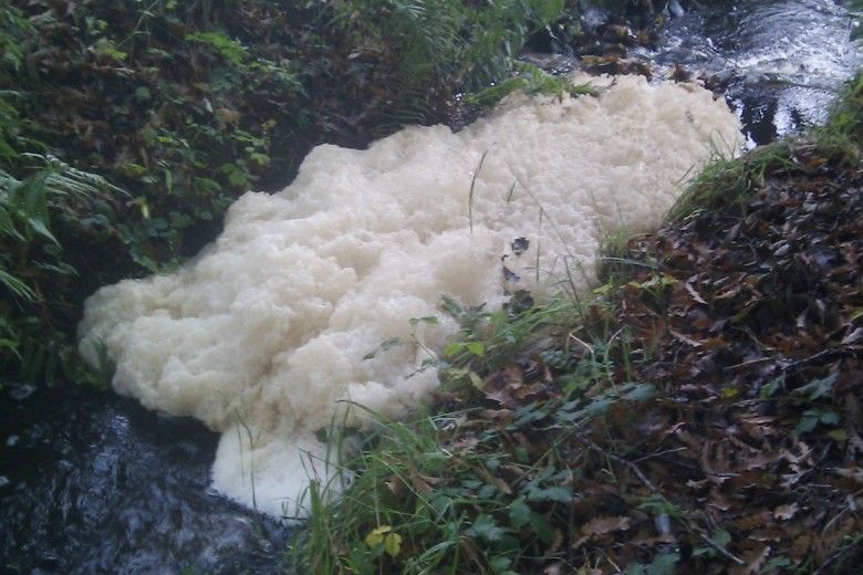 foam in a stream