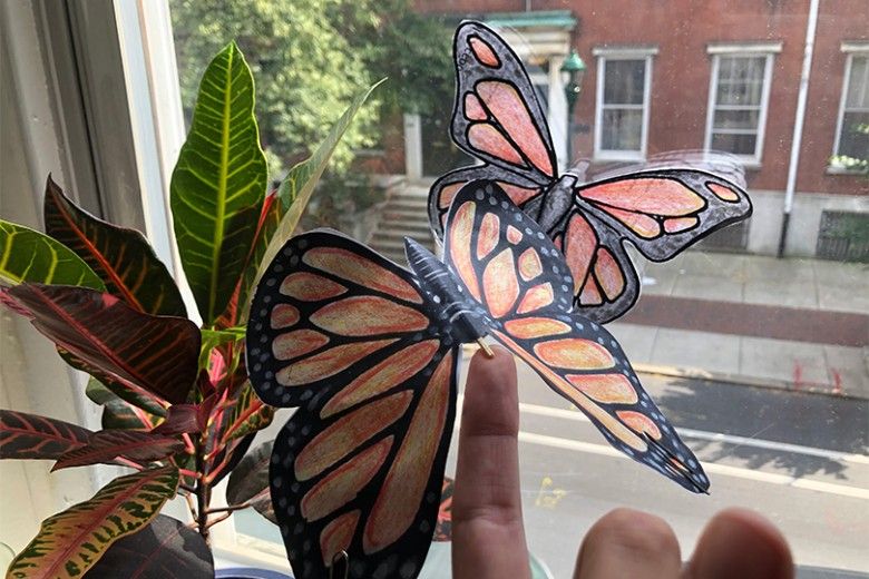 butterfly craft