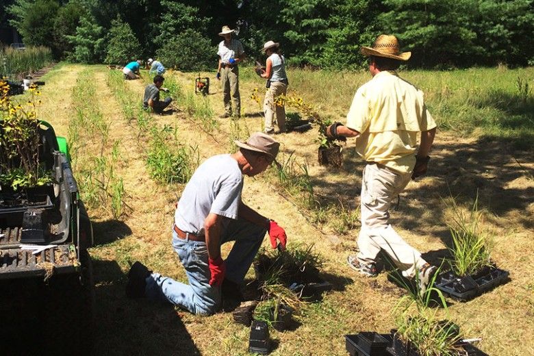 Meet the Monarch Migration Station