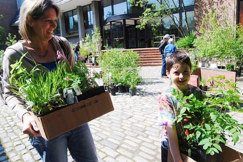 plant sale