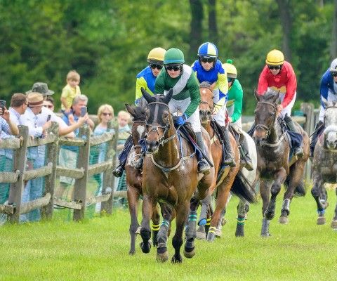 Radnor Hunt Races - Photo by Jim Graham
