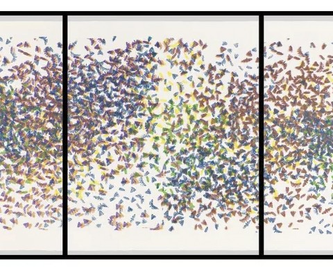 James Prosek, Moth Cluster IV, 2016
