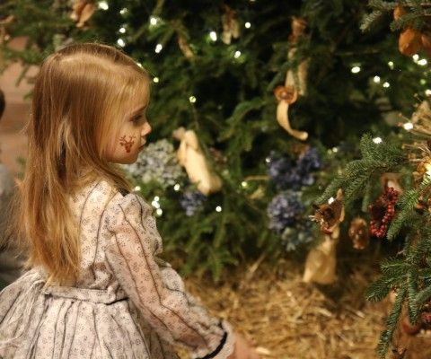 Child with blonde hair, in a white dress, looking at ornaments on a green Christmas tree