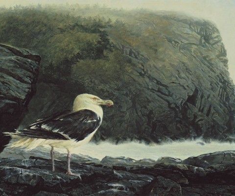 A large seabird stands alone on dark coastal rocks beside rough, foaming water, with steep cliffs rising behind it. The scene feels quiet and isolated, emphasizing the bird’s resilience against a harsh, windswept landscape.