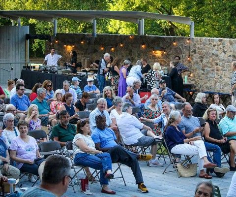 Crowd watching a concert