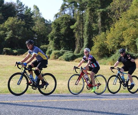 bikers