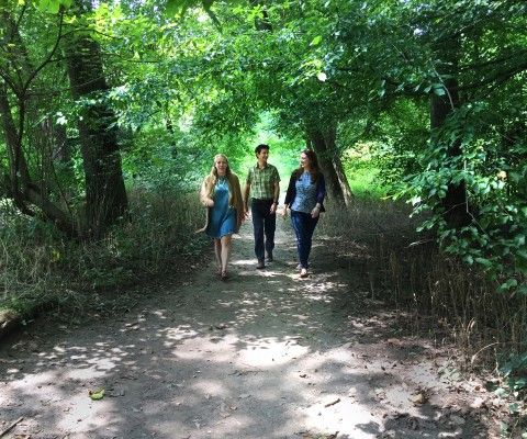 Exploring trails