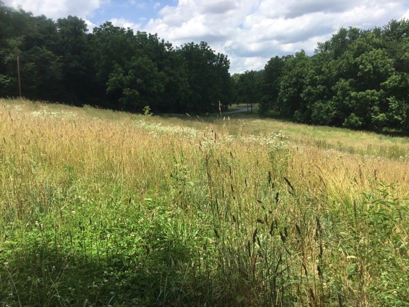 Agricultural field in Colerain Township; 105 +/- acres preserved