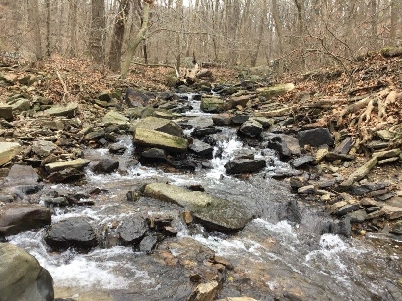 Beaver Creek in Chadds Ford Township; 40+/ acres preserved