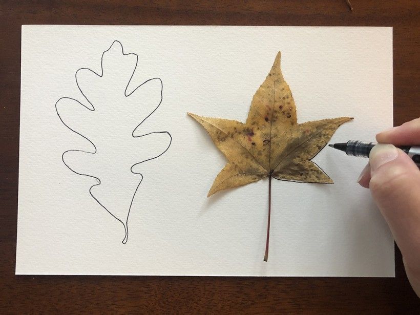 A white piece of paper with an outline of a leaf traced in pen and another leaf beginning to be traced in pen 