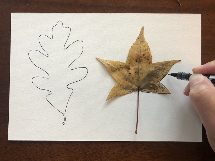 A white piece of paper with an outline of a leaf traced in pen and another leaf beginning to be traced in pen