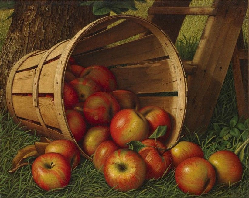 An oil painting of freshly picked apples spilling out of a wooden basket turned on its side.