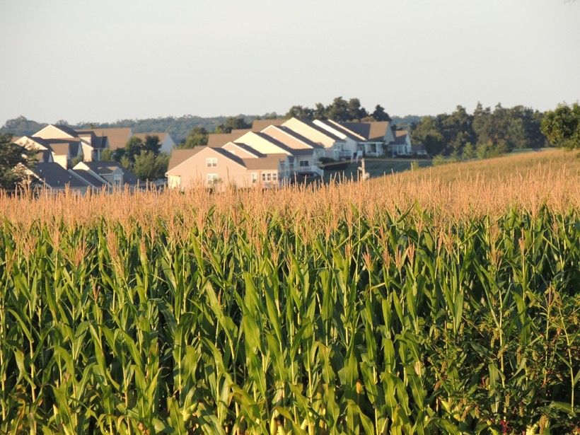 Housing development encroaching on farmland