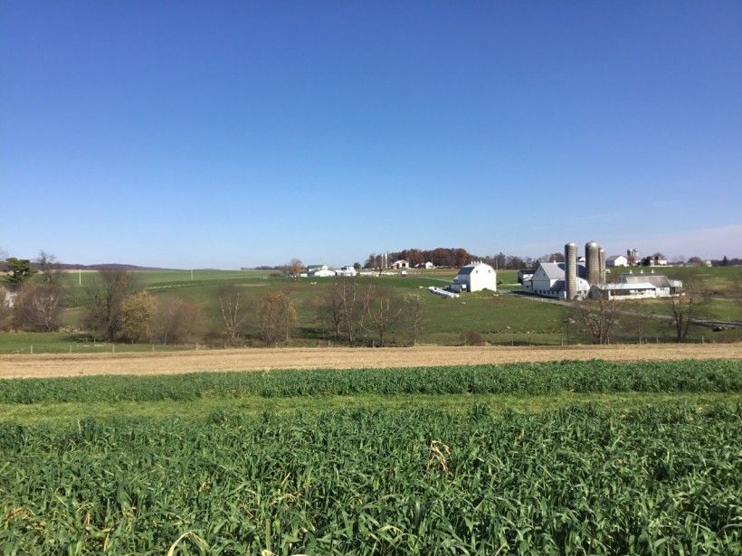 Photo of farmland in Chester County, PA.