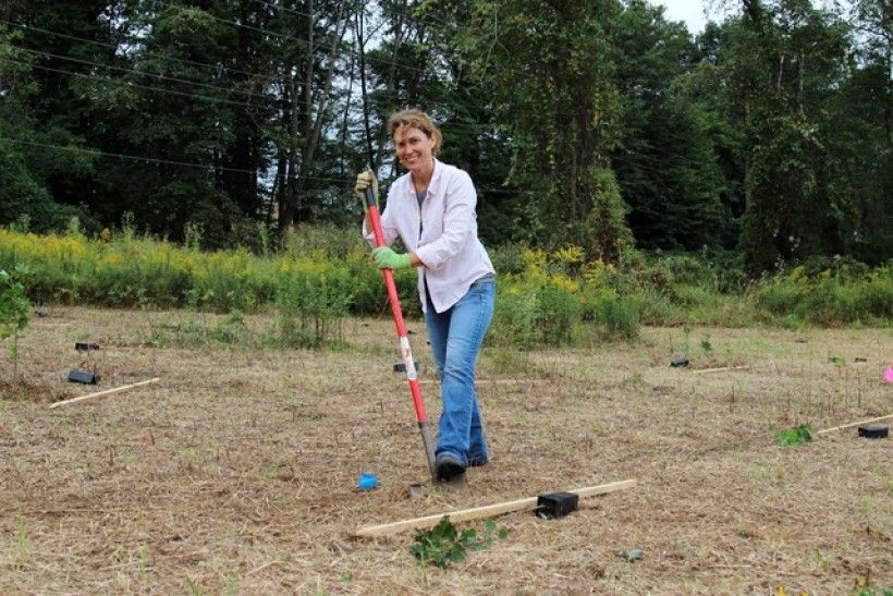 Photo of Shane Morgan planting trees