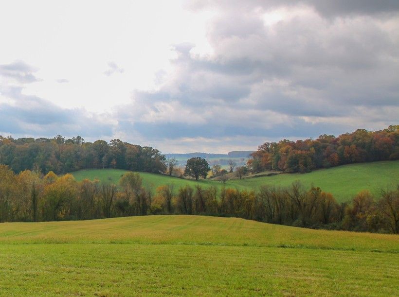 View of grassy, rolling hills and trees on a cloudy day