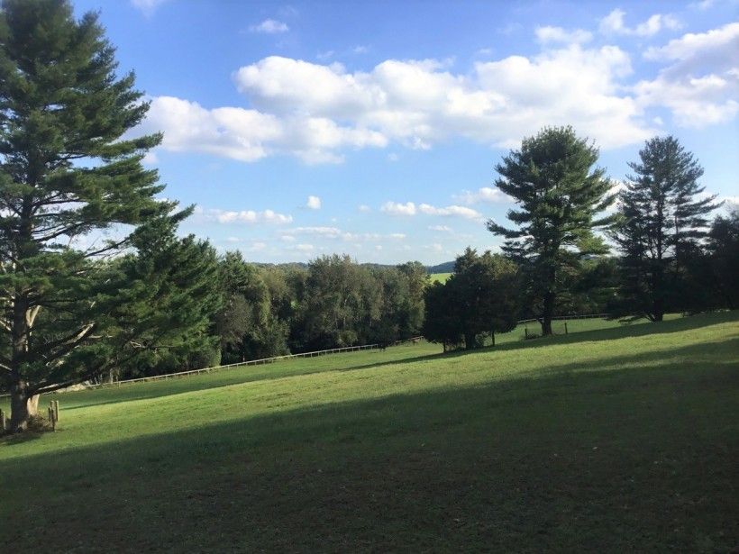 Scenic view of trees on a hill with blue sky and clouds.