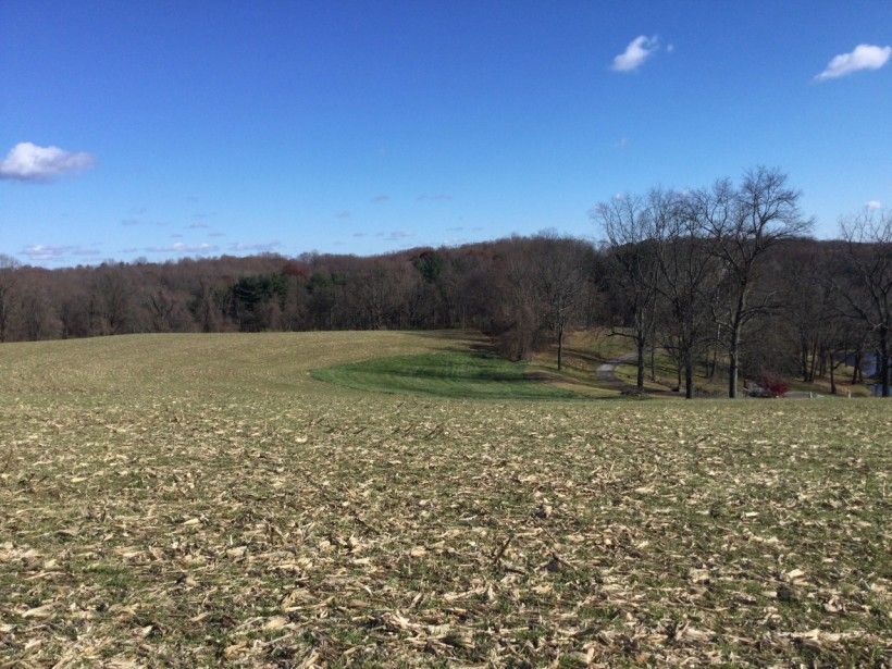 Agricultural field with a view of trees in the distance, with a sunny, blue sky day.