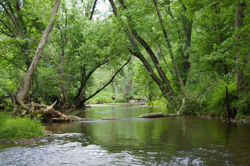 Photo of a creek running through a forested landscape.