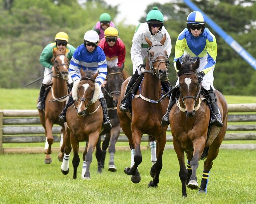 Grouping of horses running towards the camera in race formation