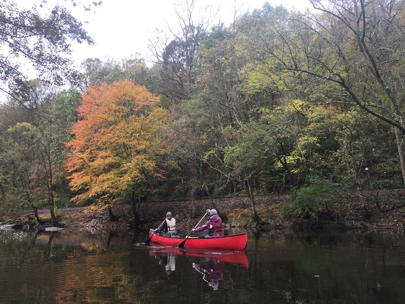 Two people canoeing down a tree-lined creek on an autumn day
