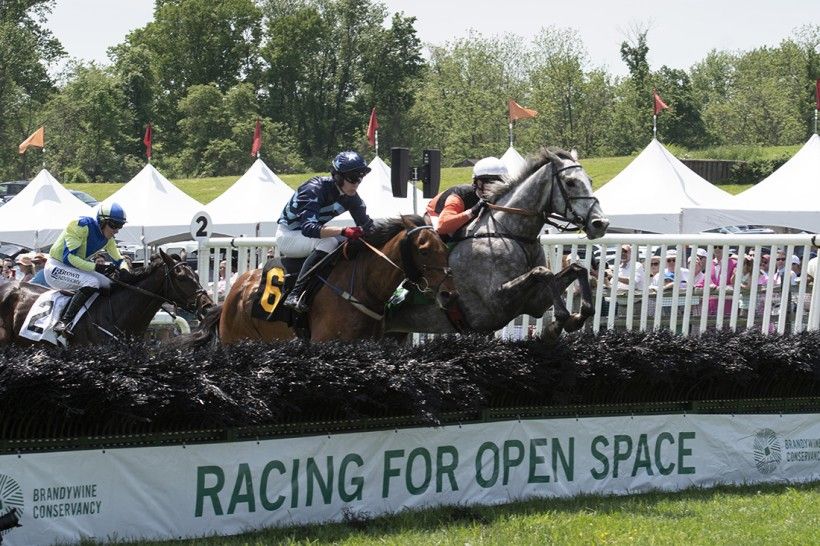 The Radnor Hunt Races. Photo by Bob Plant. Horses jumping over a steeplechase fence, with a sign that reads "Racing for Open Space"