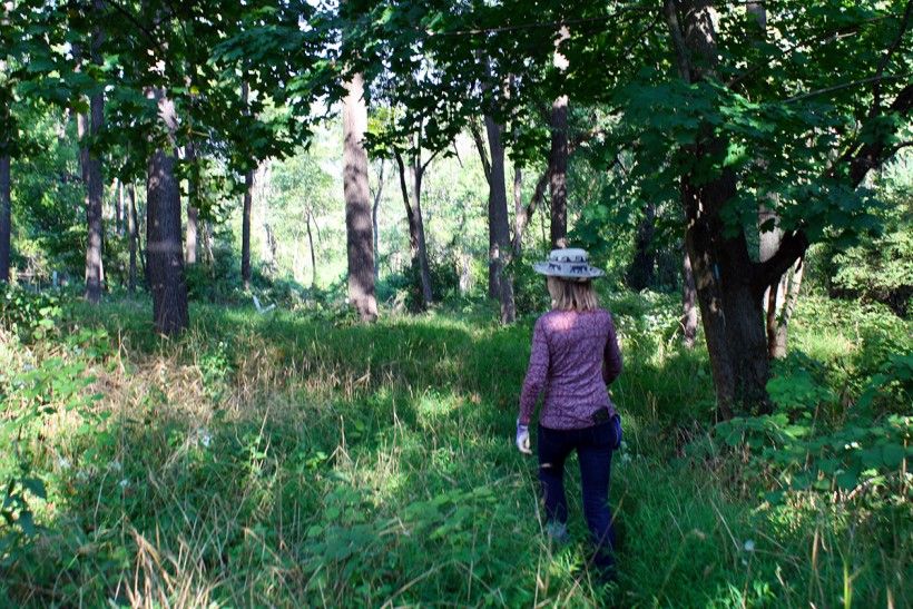 Margaret Moore pictured walking through her overgrown woodlands