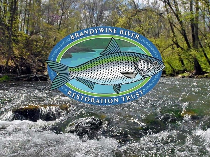 Brandywine River Restoration Trust logo placed on top of a stream photo