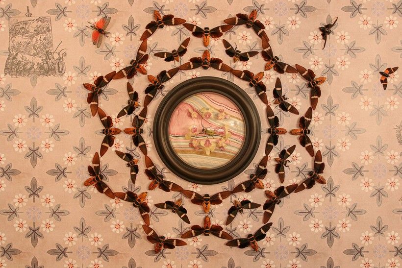 Jennifer Angus (b. 1961), Wistful Wild (detail), 2022, mixed media installation. Courtesy of the artist. Photograph courtesy of the Brandywine Museum of Art. Insect wallpaper arranged in a circular pattern by Jennifer Angus