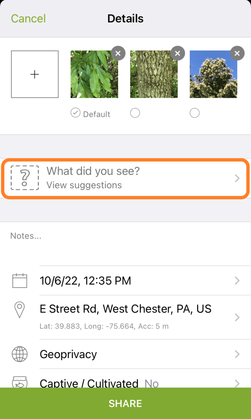 Screenshot of iNaturalist app