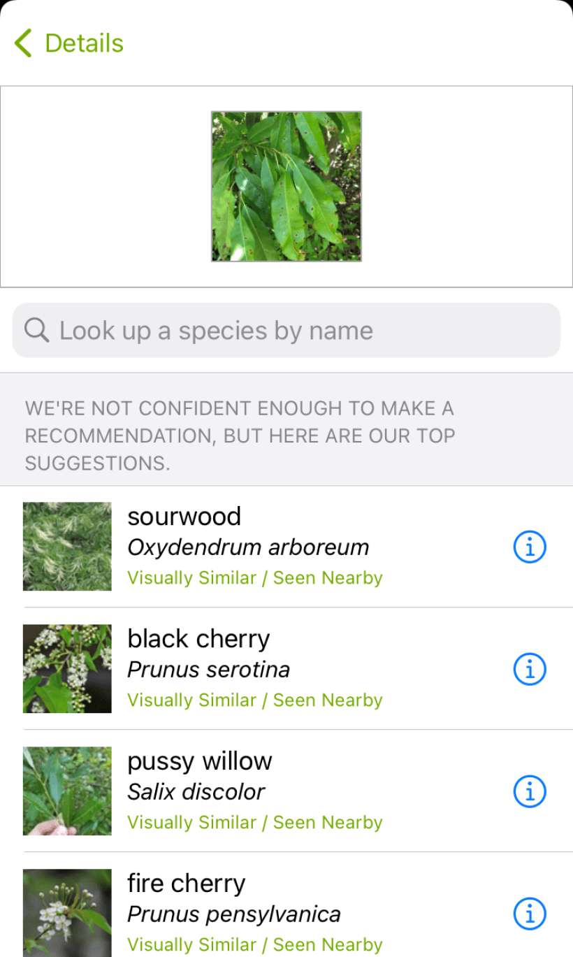 Screenshot of iNaturalist app