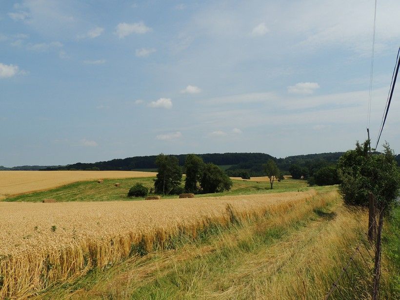 Agricultural field in Highland Township