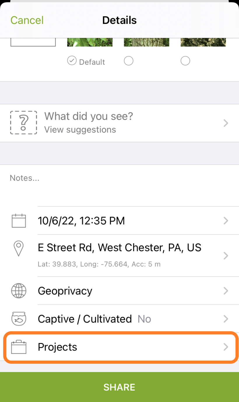 Screenshot of iNaturalist app