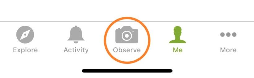 Screenshot of "Observe" camera icon on iNaturalist
