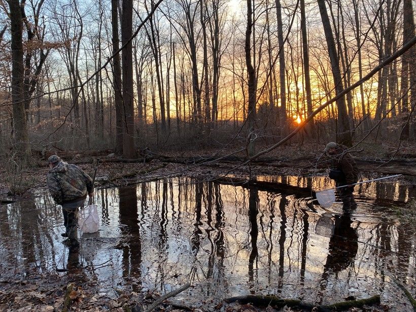 Chris Urban and Brandon Ruhe in woodland vernal pool. These pools will dry up in the summer and do not support fish populations – an essential requirement for the life cycle of a salamander.