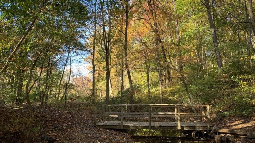 Park with a bridge and stream during the autumn.