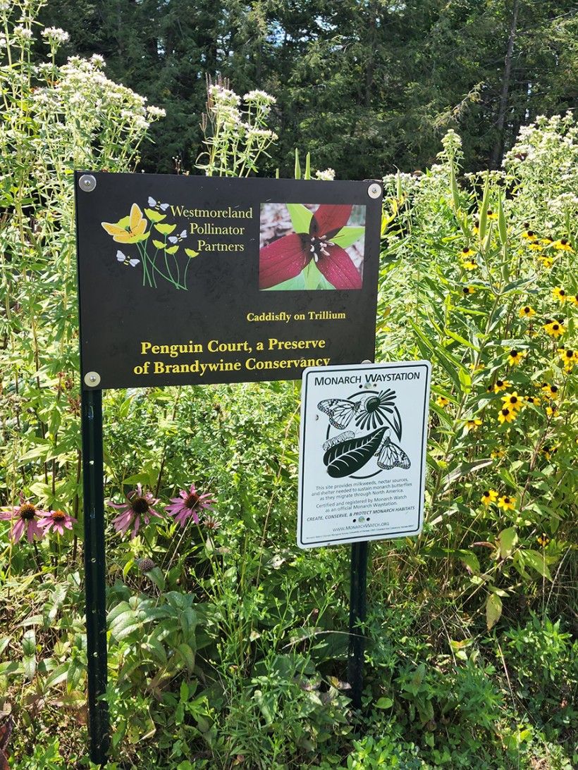 Monarch Waystation sign at the Brandywine's Penguin Court Preserve. Photo by Melissa Reckner. Monarch Waystation sign at the Brandywine's Penguin Court Preserve. Photo by Melissa Reckner.