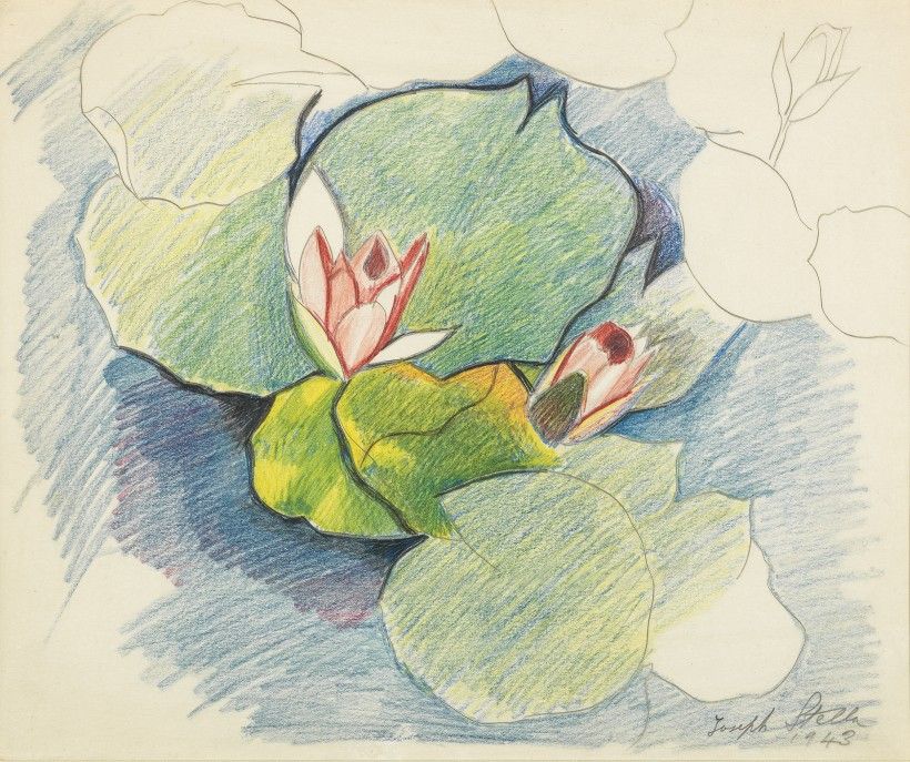 Joseph Stella, Two Pink Water Lilies, 1943, silverpoint and crayon on paper, 11 x 12 1/2 in. Collection of B. Dirr. Digital image courtesy of the Brandywine Museum of Art